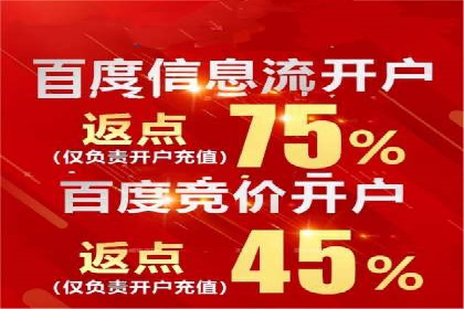 SEM网络推广案例：精准营销助力品牌成长
