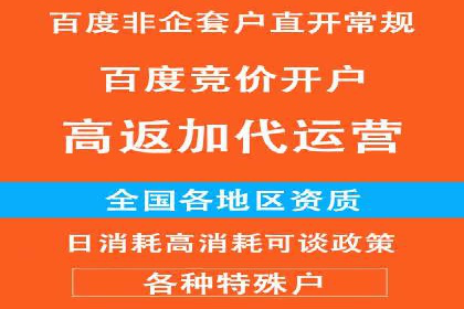 SEM广告投放策略：成功案例解析